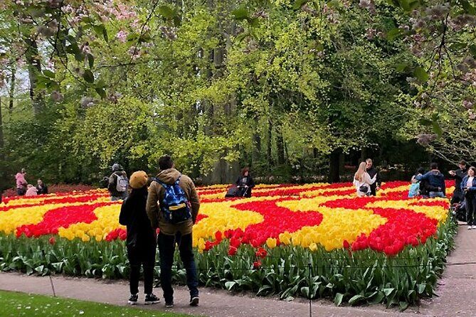 Private Day Tour to Keukenhof Gardens - from Amsterdam/Rotterdam - Getting to Keukenhof: countryside views and quick photo windows