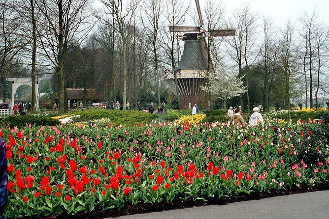 Private Day Trip from Amsterdam to Keukenhof with Entrance Tickets - Why Keukenhof Works Best as a Private Half-Day