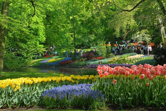 Private Day Trip from Amsterdam to Keukenhof with Entrance Tickets - A Possible Tulip Farm Lunch Stop on the Way Back