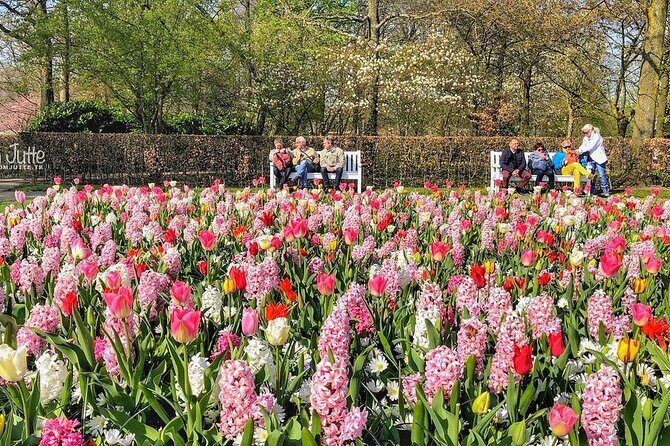 Private Day Trip to Keukenhof Gardens with Entrance Tickets - Hotel pickup to Lisse: transport that protects your energy