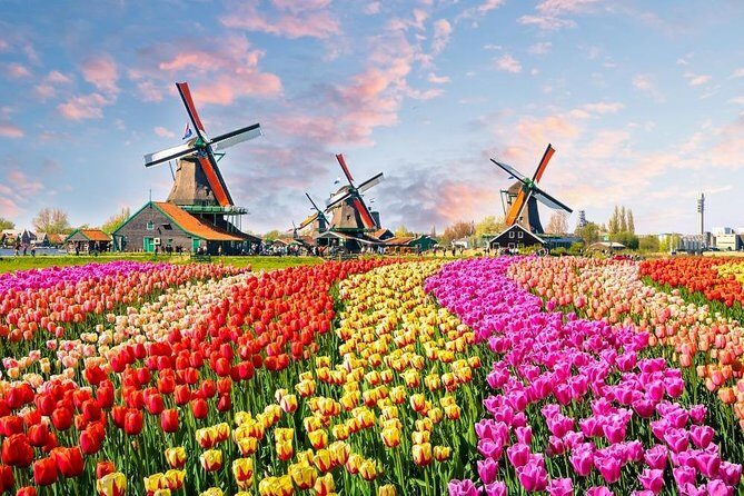 Private Day Trip to Zaanse Schans, Volendam & Marken from Amsterdam - Zaanse Schans in about an hour: windmills, cheese, and clogs