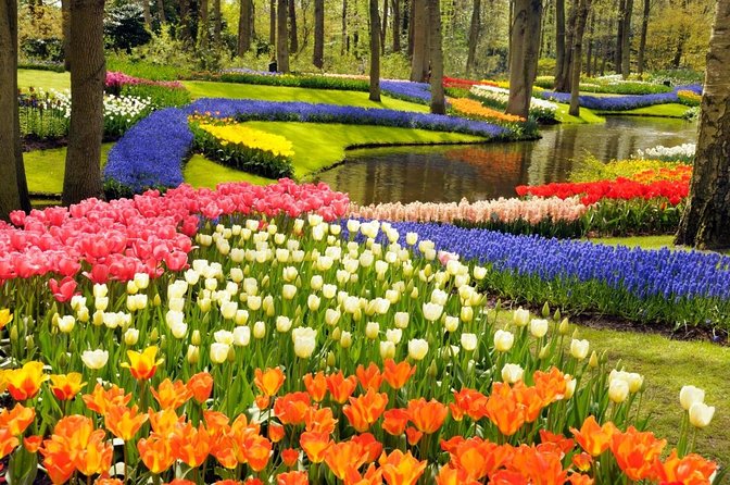 Private Guided Keukenhof Gardens and Zaanse Schans Tour - Key points before you book Windmillgirl Tours