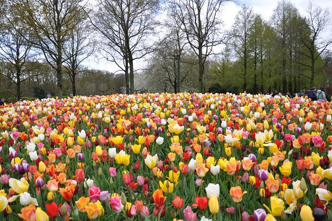 Private Guided Keukenhof Gardens and Zaanse Schans Tour - Amsterdam pickup at 8:30: a smoother start than you expect