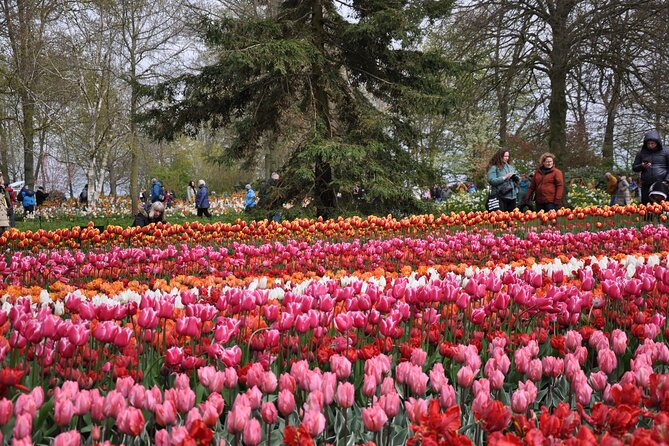 Private Guided Keukenhof Gardens and Zaanse Schans Tour - Molen De Kat: the paint mill climb for real windmill views