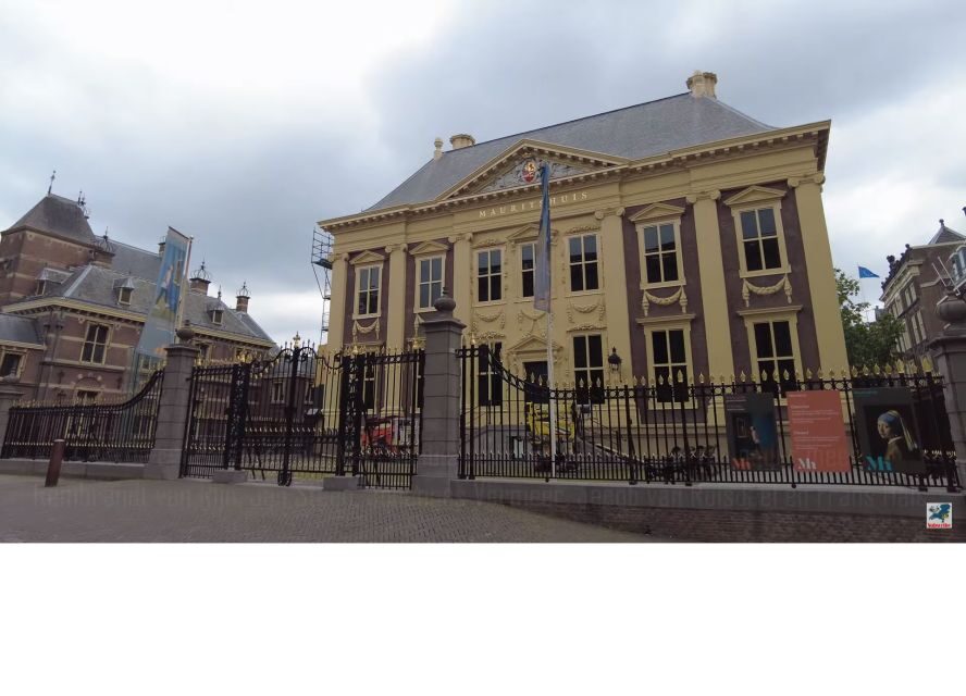 Private half-day Delft and The Hague tour - Your young guide: asking anything, and getting answers that stick