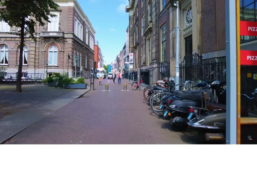 Private half-day Delft and The Hague tour - Should you book this tour?