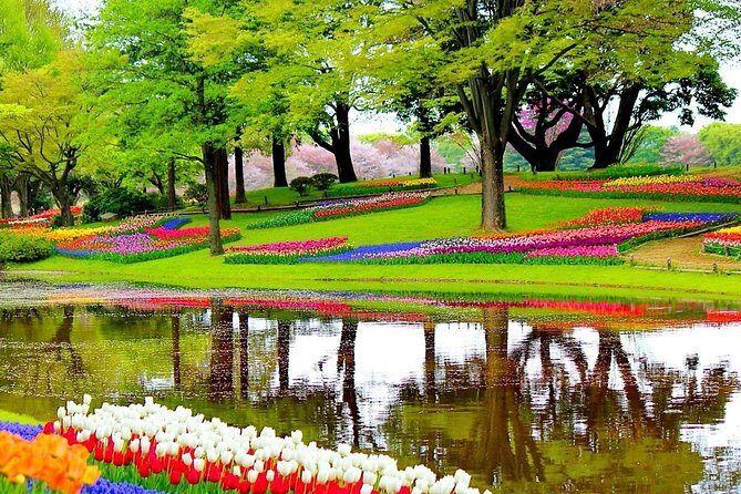 Private Half-Day Trip From Amsterdam to The Tulip Fields in Keukenhof - Amsterdam to Keukenhof by private car: why this half-day works