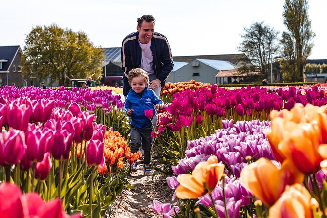 Private Keukenhof Gardens and Tulip Fields Tour from Amsterdam - The Private Mercedes Ride: Comfort, Timing, and Host Energy