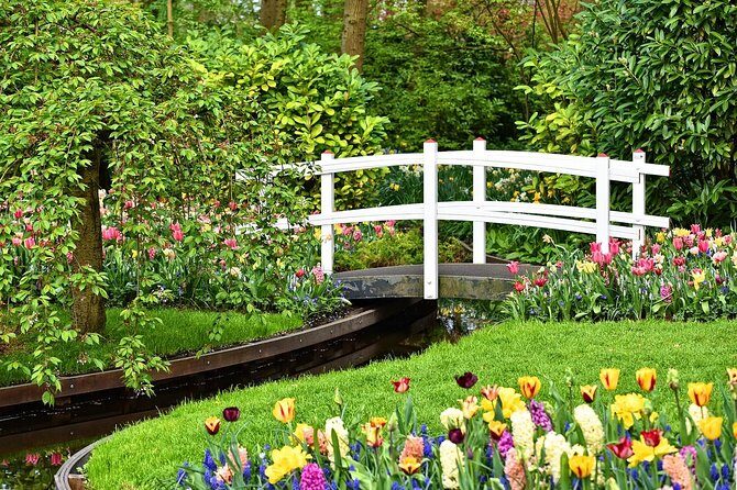 Private Keukenhof Gardens and Tulip Fields Tour from Amsterdam - Who This Tour Fits Best (And Who Might Want Another Option)