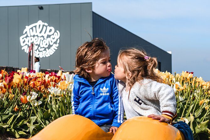Private Keukenhof Gardens and Tulip Fields Tour from Amsterdam - Practical Tips for a Smooth Tulip Day