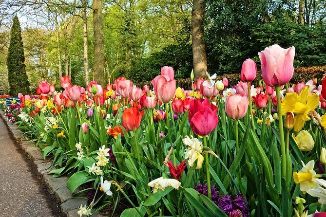 Private Keukenhof Gardens and Tulip Fields Tour from Amsterdam - Tulip Experience Amsterdam: Museum Facts, Then a Show Garden