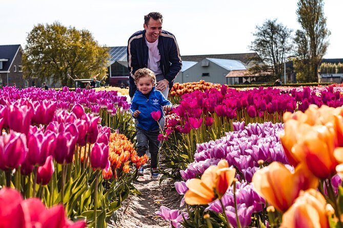 Private Keukenhof, Gardens, Windmills, cheese tour from Amsterdam - Jacobs Hoeve cheese farm by Henri Willig: tastings, shops, and calves