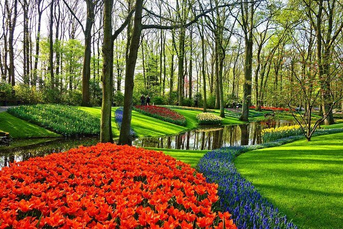 Private Keukenhof, Gardens, Windmills, cheese tour from Amsterdam - Tulip Experience Amsterdam: museum story, show garden, and free tulips