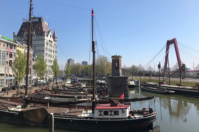 Private tour: Markthal, Cube houses and Rooftop Het Witte Huis - Who should book this Markthal + rooftop + Cube Houses tour