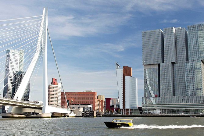 Private Tour Rotterdam: Highlights, Water Taxi and Rooftop view - Price and logistics: what $554.01 really buys you