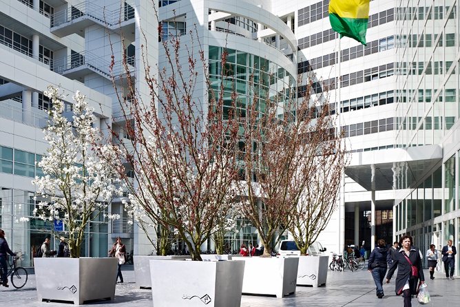 Private Tour: The Hague Walking Tour Including Peace Palace Visitors Center - Noordeinde Palace: royal neighborhood energy without the need for tickets