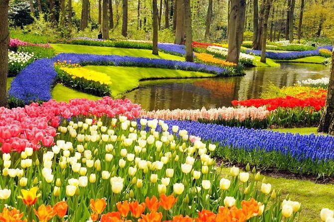 Private Tour to the Keukenhof and Tulip Fields - Aalsmeer flower auction: seeing the shipping machine up close