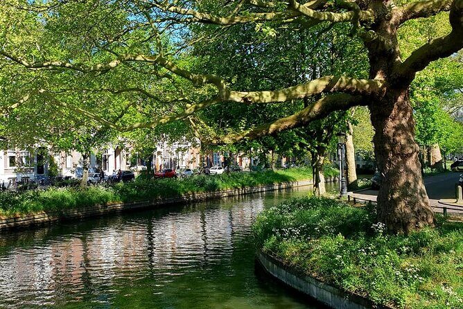 Private tour: Your Own Utrecht - mysteries and treasures - Dom Tower and the carillon: medieval views with a pop-culture wink