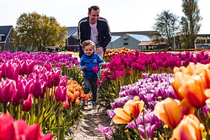 Private Tulip Fields, Windmills and Cheese Tour from Amsterdam - Keukenhof with skip-the-line entry: more flowers than you think