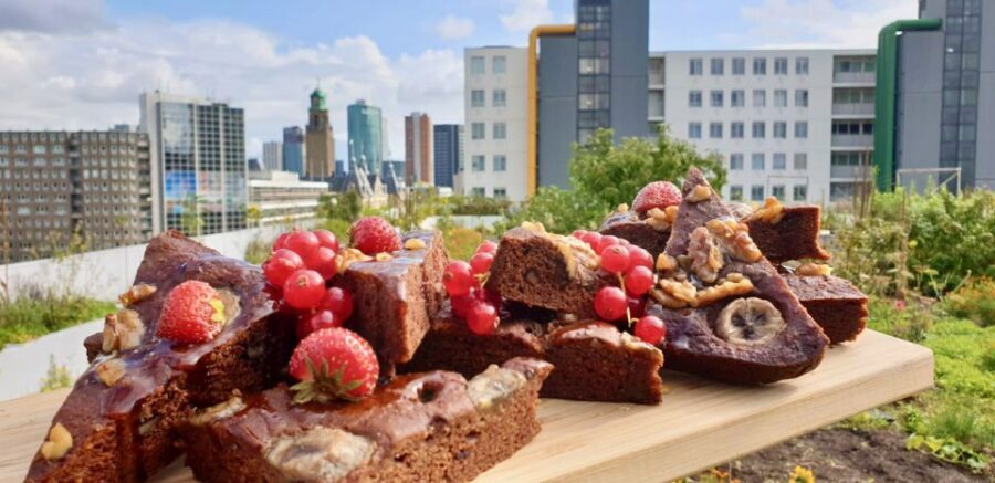 Rotterdam: Food Tour by Bike - The Guide Makes It: Stories You Can Taste