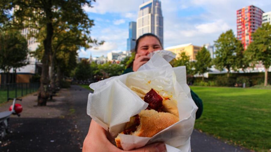 Rotterdam: Guided Food Tour - Oude Haven: water views while you reset your appetite