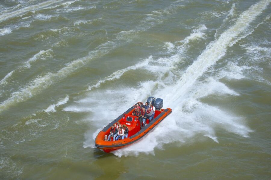 Rotterdam: Private Maas River Speedboat Cruise - Private Group Value: Price, Timing, and Why $359 Works
