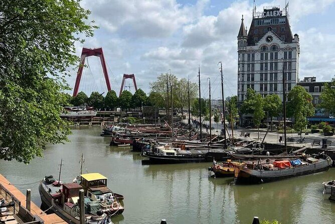 Rotterdam: Private Tour with Local Guide + Cube House visit - Price and value: what $294.55 buys you in real terms