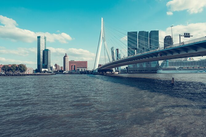 Rotterdam Private Walking Tour with a Local - Walking comfort and weather: don’t let logistics ruin the vibe