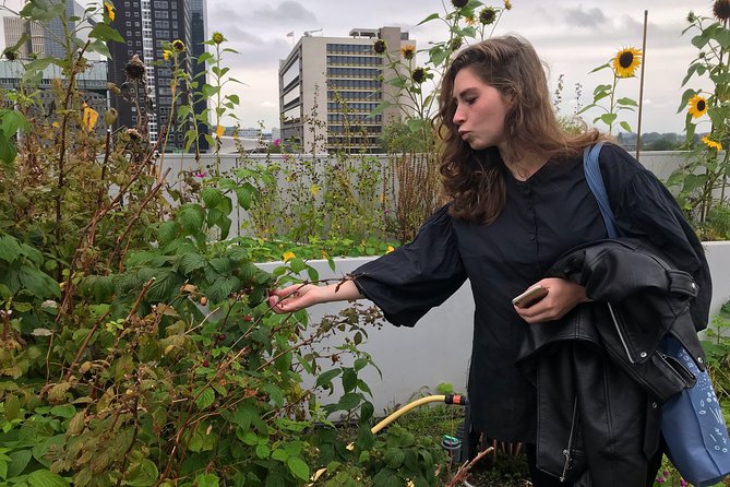 Rotterdam Travel to the Future Walking Tour - Meeting point to finishing at Erasmus Bridge: how the route works