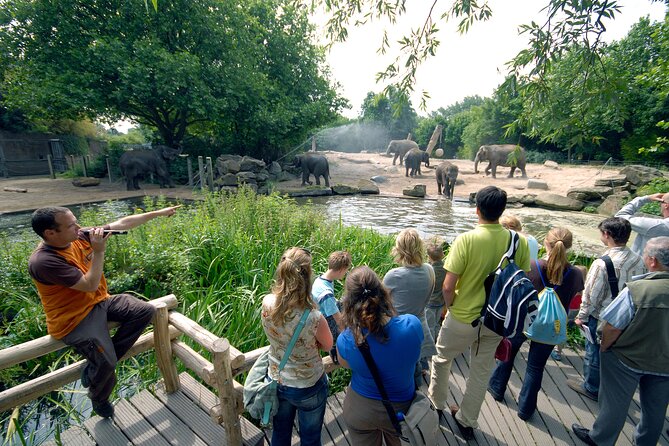 Rotterdam Zoo Diergaarde Blijdorp Direct Entrance Ticket - Outdoor walk zones: continents, animals, and the big footprint