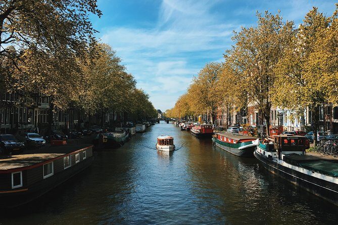See Shoot Share | Photo Tour - What you learn about phone photography (and why it makes your photos improve fast)