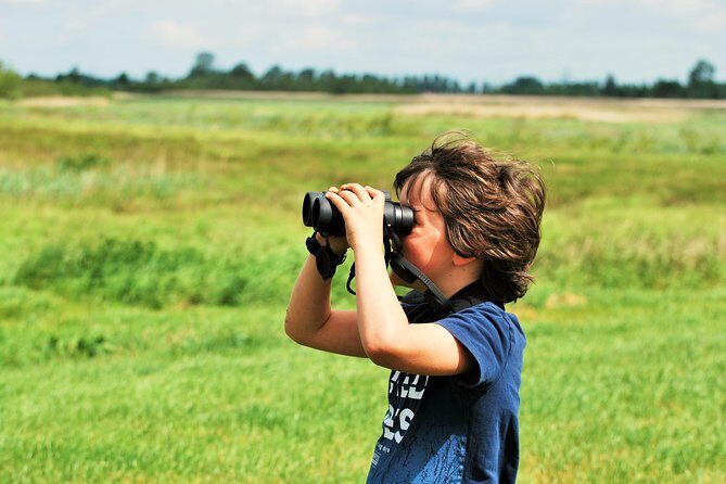 Small Group Tour to NP Hoge Veluwe (van Gogh) from Amsterdam - Weather and wildlife reality check (so you don’t set yourself up)