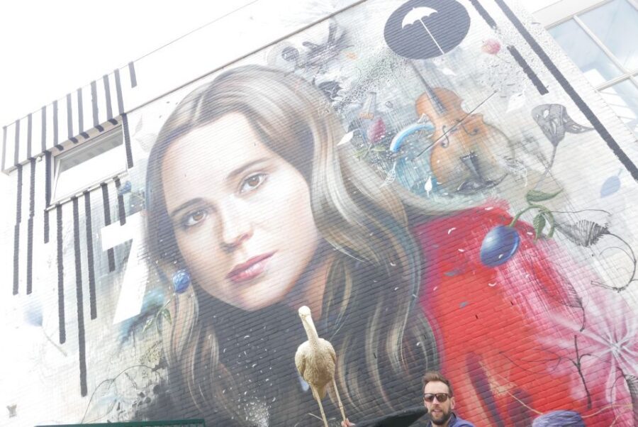 The Hague: Street Art Tour by Bike - Nieuw Binckhorst (1.5 hours): where street art grows in an industrial frame
