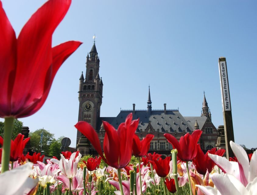 The Hague Walking Tour - The Hague in one walk: where government, royalty, and modern design meet