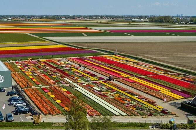 Tour to Giethoorn and Keukenhof Tulip Fields from Amsterdam - Private Mercedes transport: comfort, control, and fewer hassles