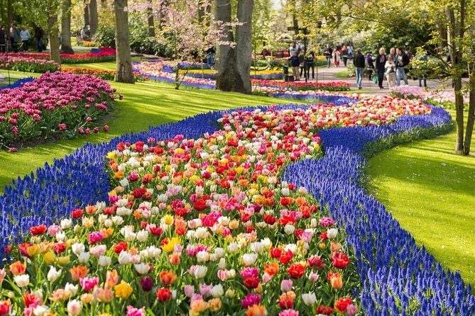Tulip Experience and Keukenhof Flower Gardens Tour from Amsterdam - From Amsterdam to tulip country, with less hassle