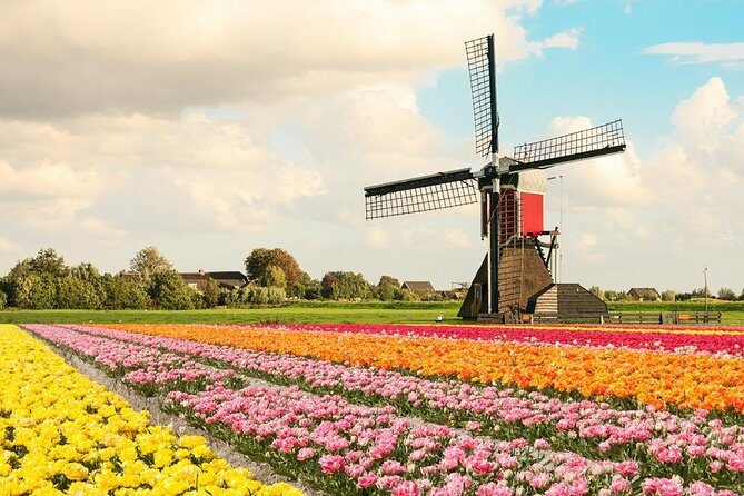 Tulip Experience and Keukenhof Flower Gardens Tour from Amsterdam - The free tulip bunch: the souvenir that feels personal