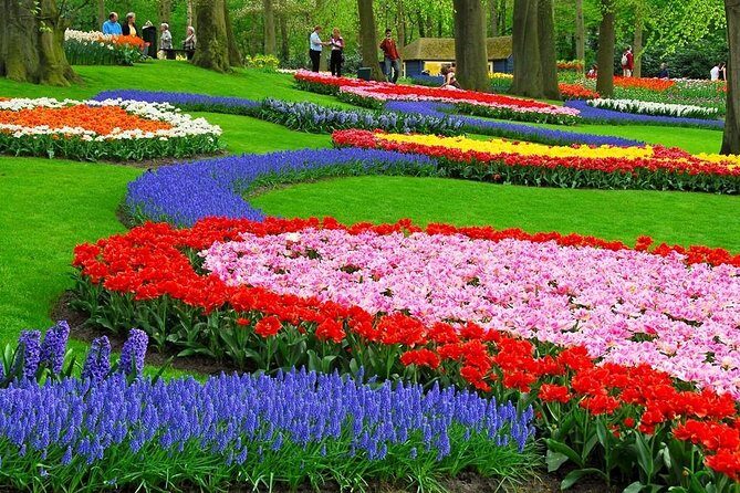 Tulip Experience and Keukenhof Flower Gardens Tour from Amsterdam - Keukenhof: skip the line and spend your time walking