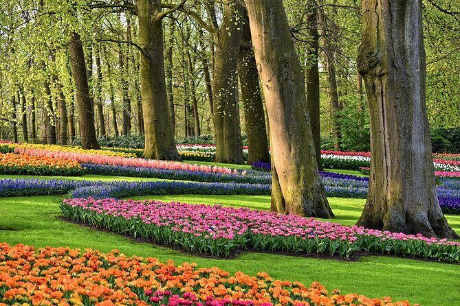 Tulip Experience and Keukenhof Flower Gardens Tour from Amsterdam - Who this tour fits best