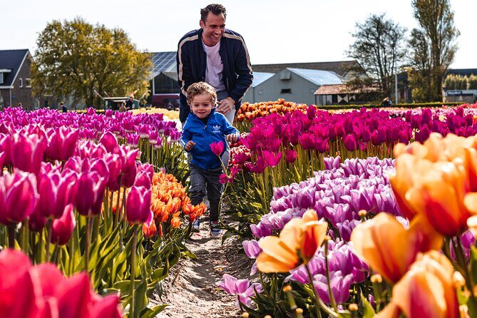Tulip Experience and Keukenhof Flower Gardens Tour from Amsterdam - Tulip Experience Amsterdam: learn first, then look longer