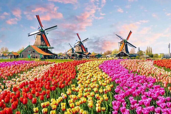 Tulip Paradise: Keukenhof Half-Day Private Tour - How This Half-Day Private Tour Works (and why it feels easy)