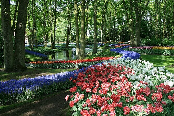 Tulip Paradise: Keukenhof Half-Day Private Tour - Price and Value: When This Private Option Makes Sense