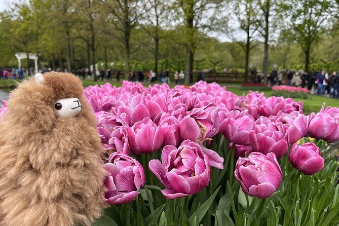 Tulip Paradise: Keukenhof Half-Day Private Tour - Who This Tour Fits Best