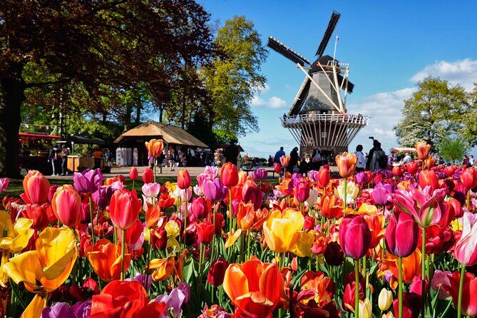 Tulip Paradise: Keukenhof Half-Day Private Tour - Arriving at Keukenhof: How to Use Your Time Smartly