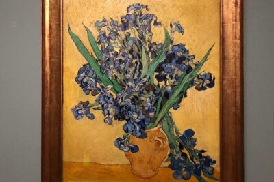 Van Gogh Museum, Rijks Museum & Walking Tour - Private Day Tour - Rijksmuseum: Dutch Masters With Context (Not Just Famous Names)
