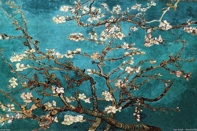 Van Gogh Museum Tour Reserved Entry Semi Private - Guide energy: storytelling that turns paintings into scenes