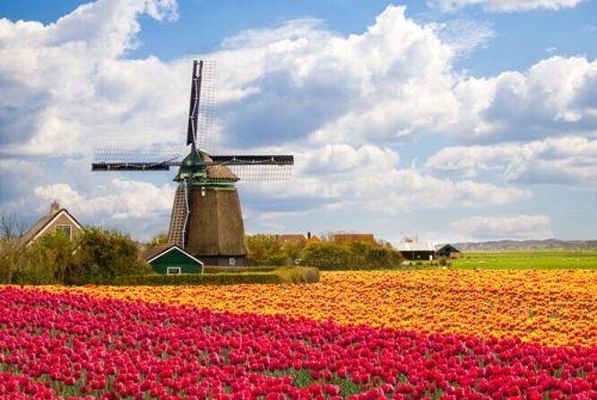 Zaanse Schans and Volendam Private Tour – Clogs, Cheese and More - Your guide and the private-van comfort factor