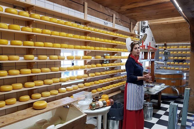 Zaanse Schans and Volendam Private Tour – Clogs, Cheese and More - Stop 3: Henri Willig cheese farm by Jersey cows and a milking robot